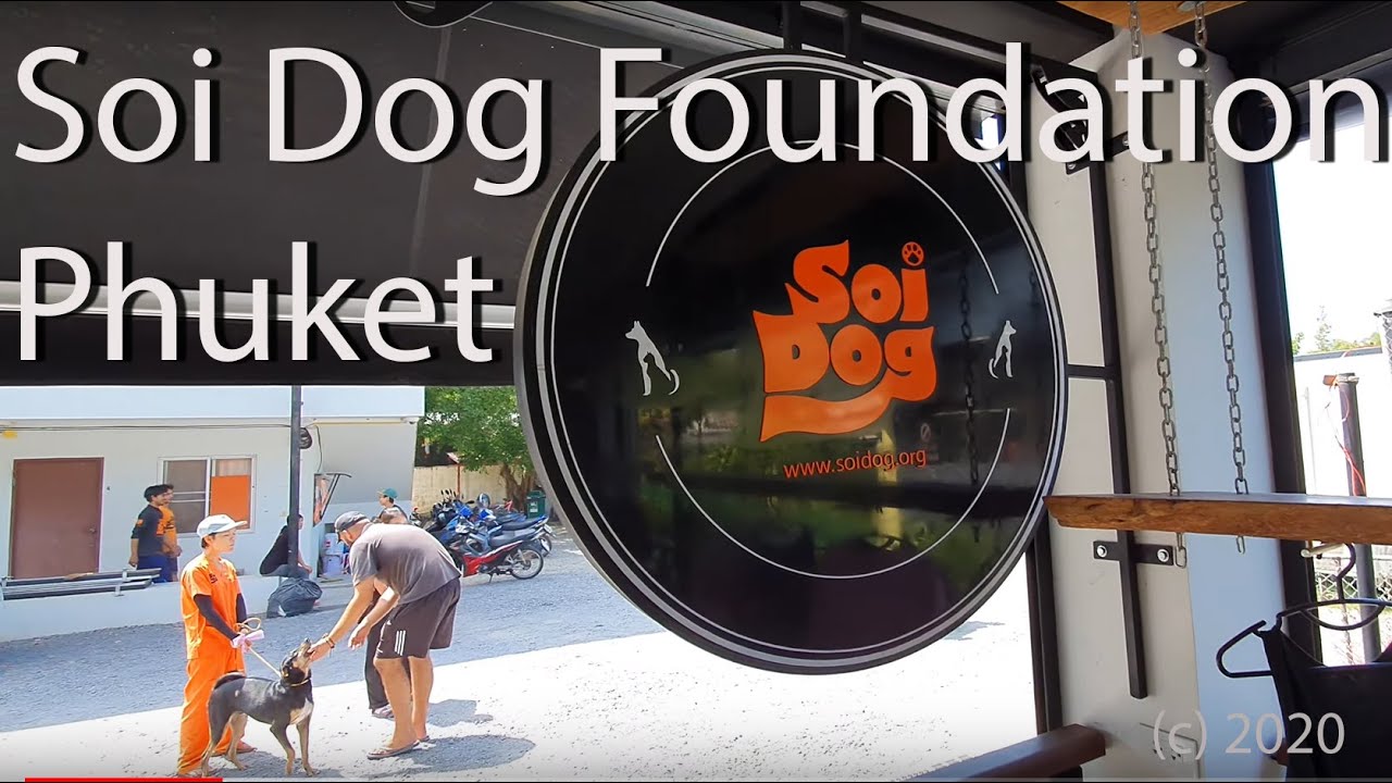 Soi Dog Foundation Phuket Thailand 2020