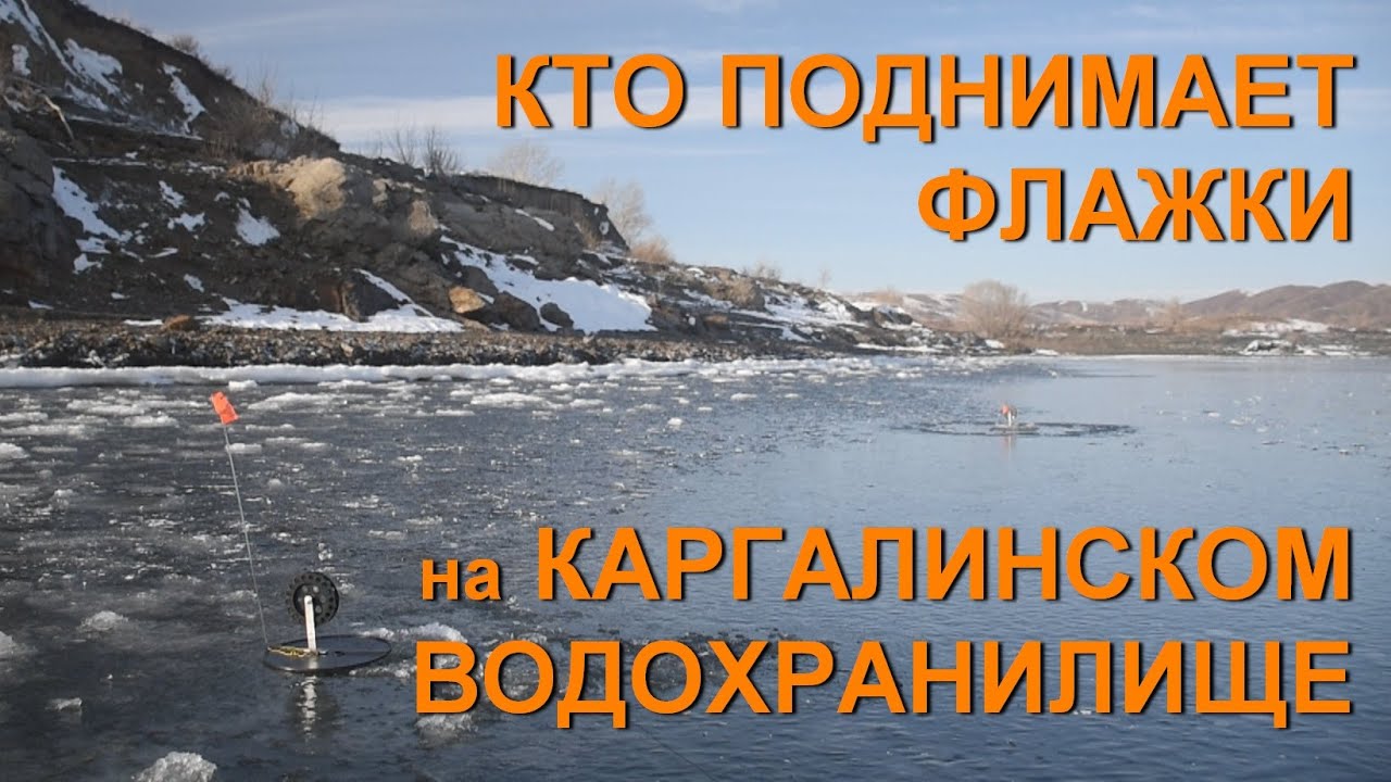 Кто поднимает флажки на Каргалинском водохранилище. Рыбалка в Актюбинской области