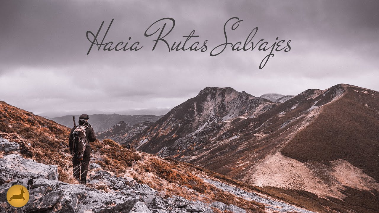 Un 𝗥𝗘𝗕𝗘𝗖𝗢 𝗨𝗡𝗜𝗖𝗢, Rececho de Monta&ntilde;a en 𝗟𝗘𝗢𝗡 por Cinegetics