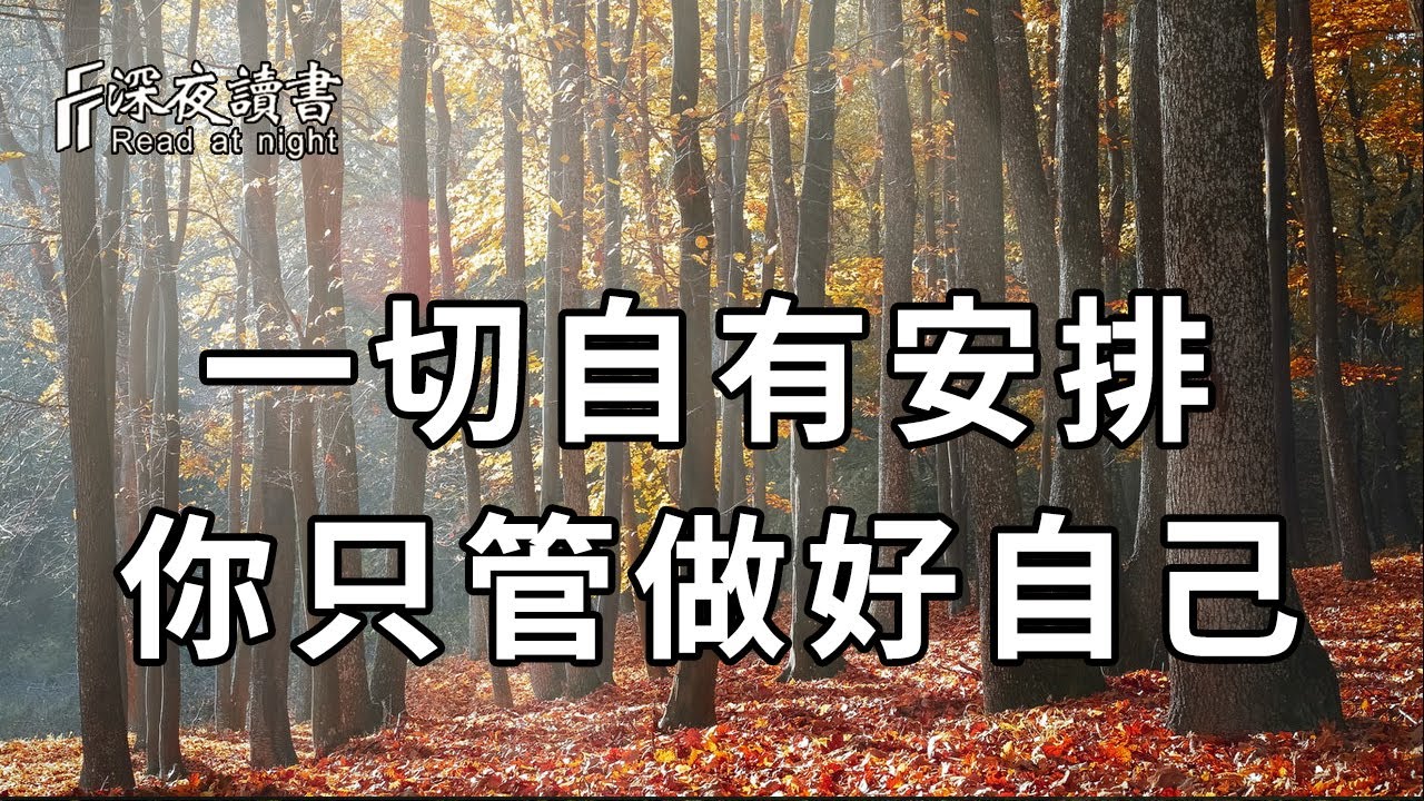 不要悲傷，不要著急，一切自有安排，你只管做好你自己，該來的都在路上！【深夜讀書】