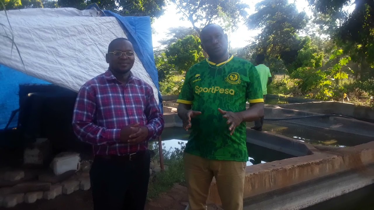SIR WILSON UFUGAJI WA SAMAKI BOMA - HAI - KILIMANJARO.