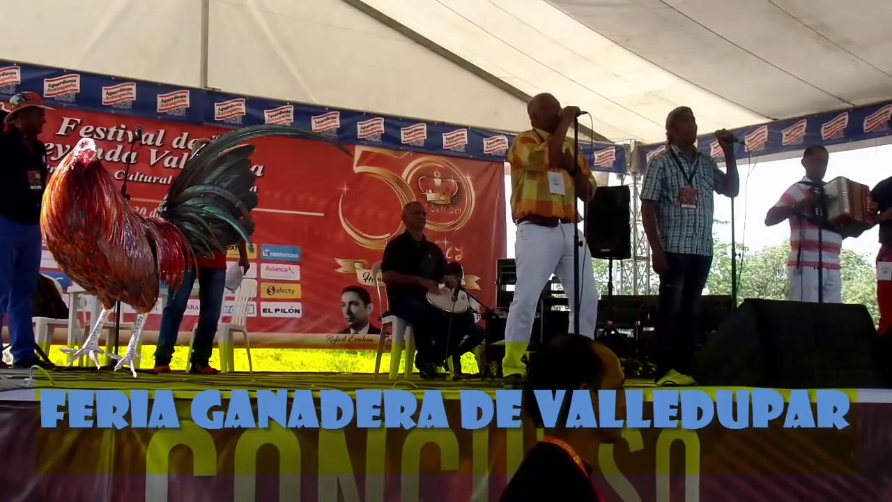 ALCIDES MANJARREZ VS ANDRES BELE&Ntilde;O; SEGUNDA RONDA REY DE REYES DE PIQUERIA EN VALLEDUPAR