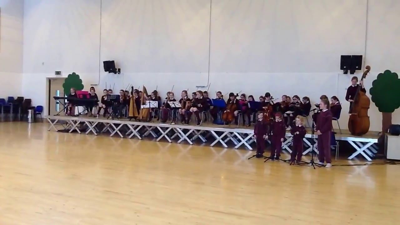 Bunscoil Loreto, Co. Wexford - Primary Finalist 2016
