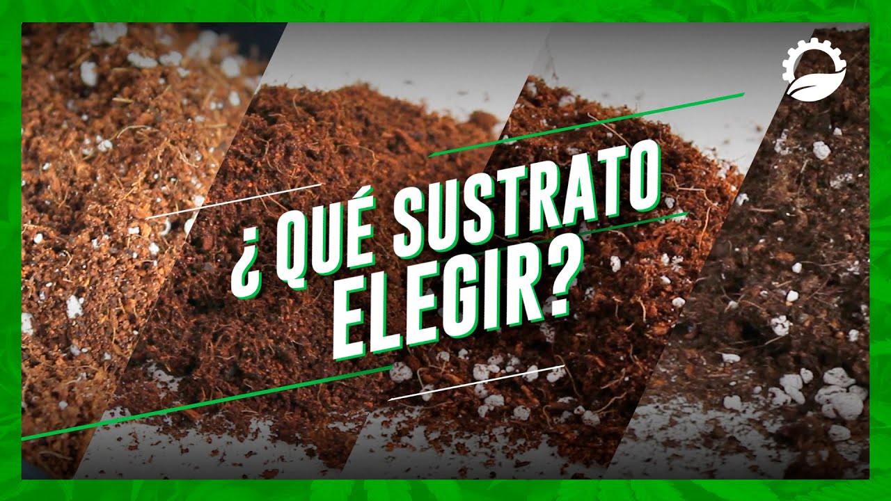 &iquest;QU&Eacute; SUSTRATO ELEGIR PARA EL CULTIVO? - Gu&iacute;a de sustratos
