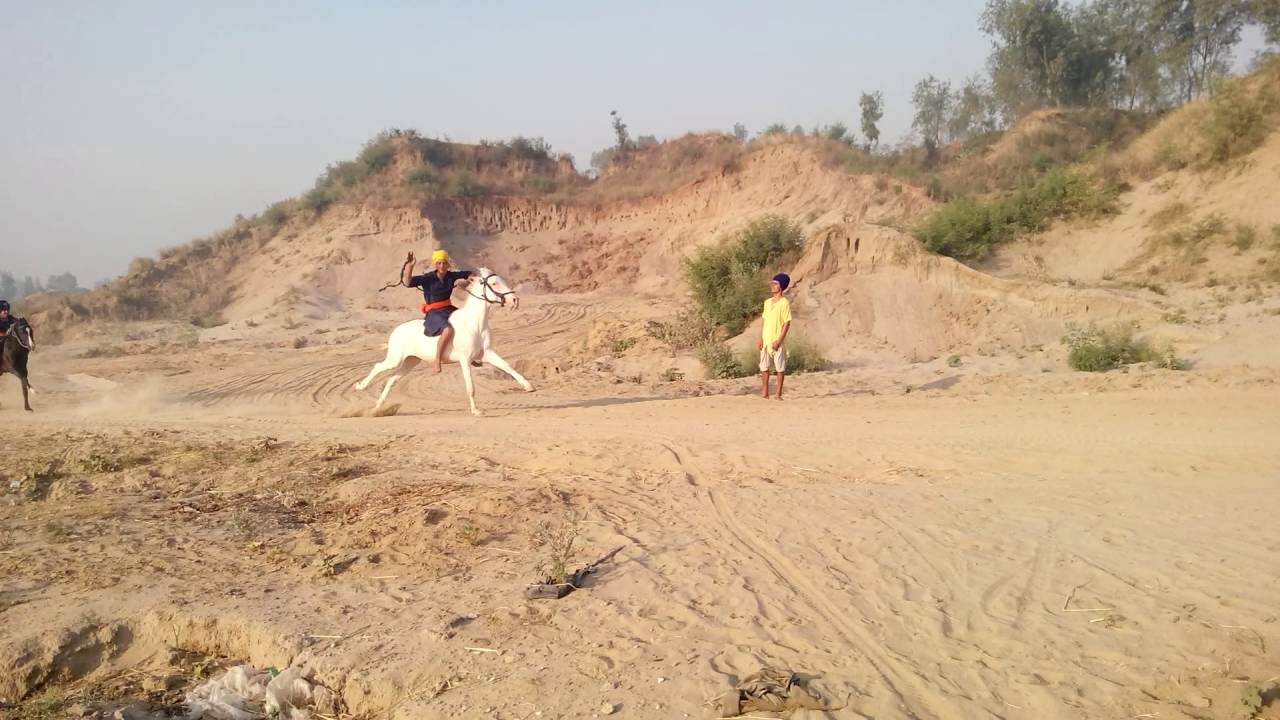 Nihang singh horse RACe