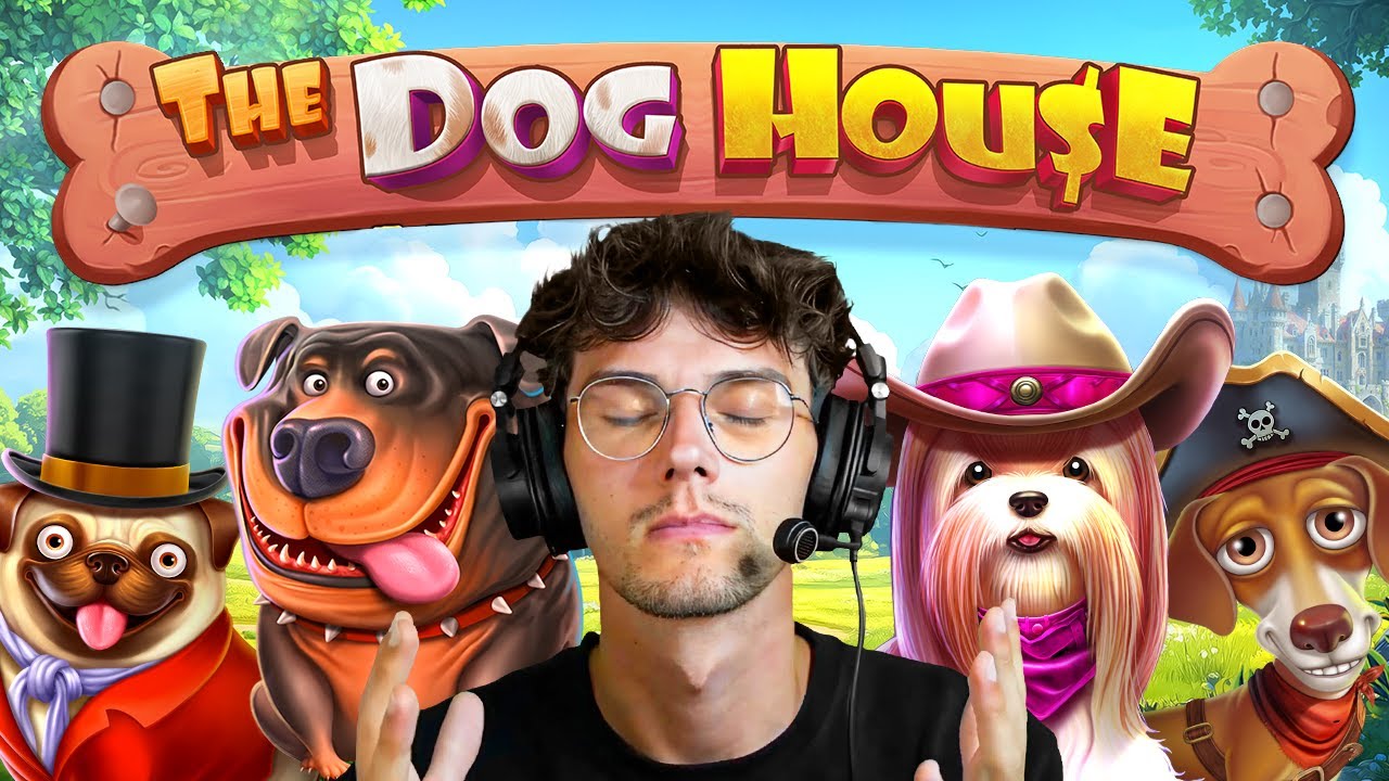 J&rsquo;ach&egrave;te TOUS les bonus DOG HOUSE 🐶