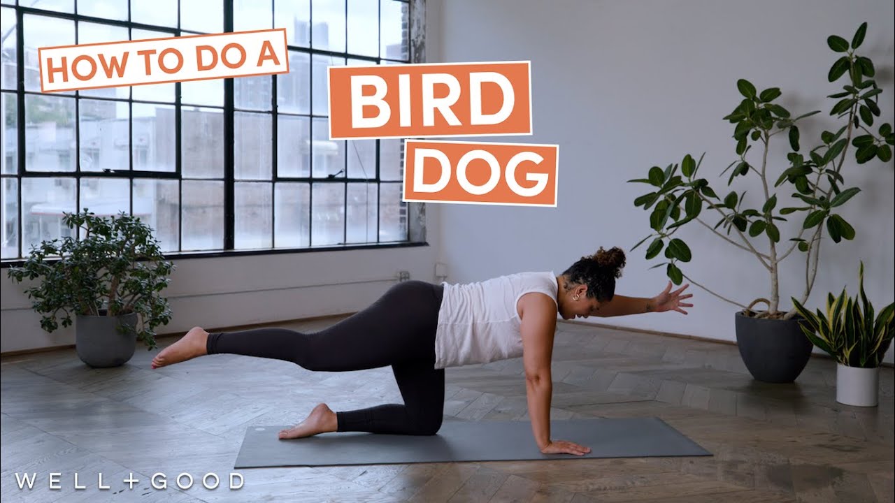 How to do a Bird Dog with Laurence Agenor | The Right Way | Well+Good