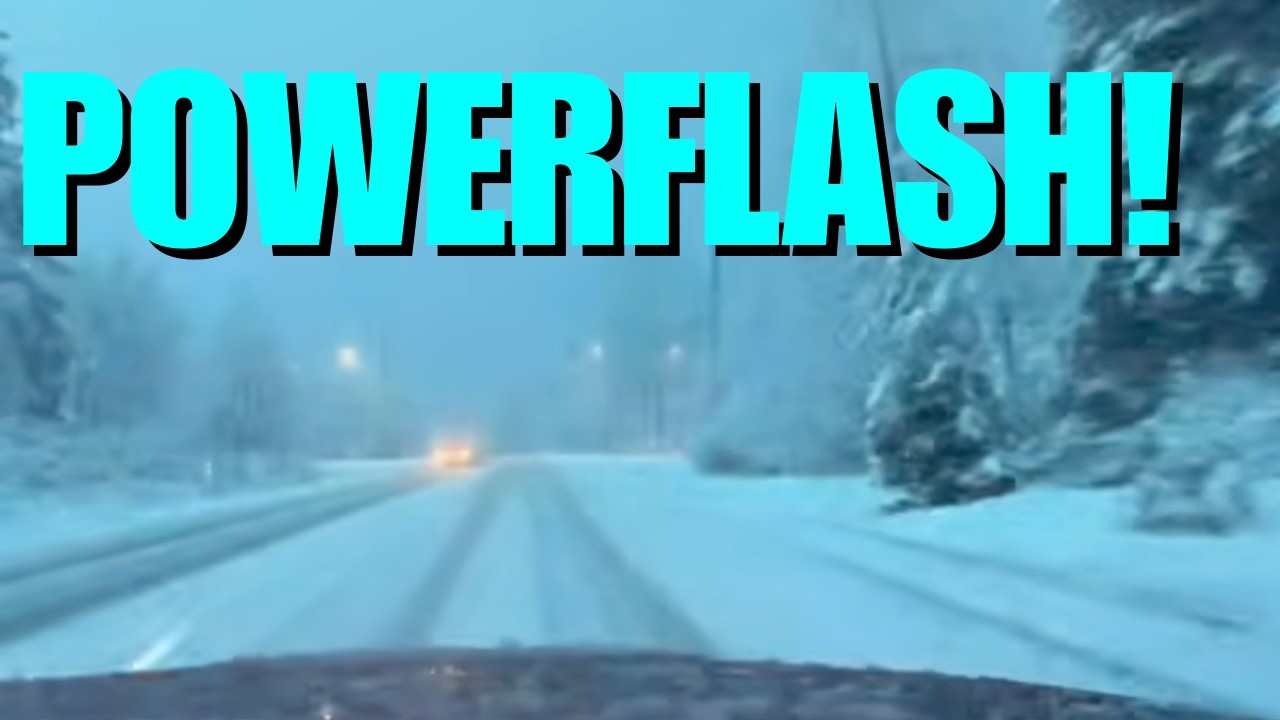 Power flash Heavy Snow Weighing Down Trees - Clip from Livestream Lake Stevens, WA 02-18-26