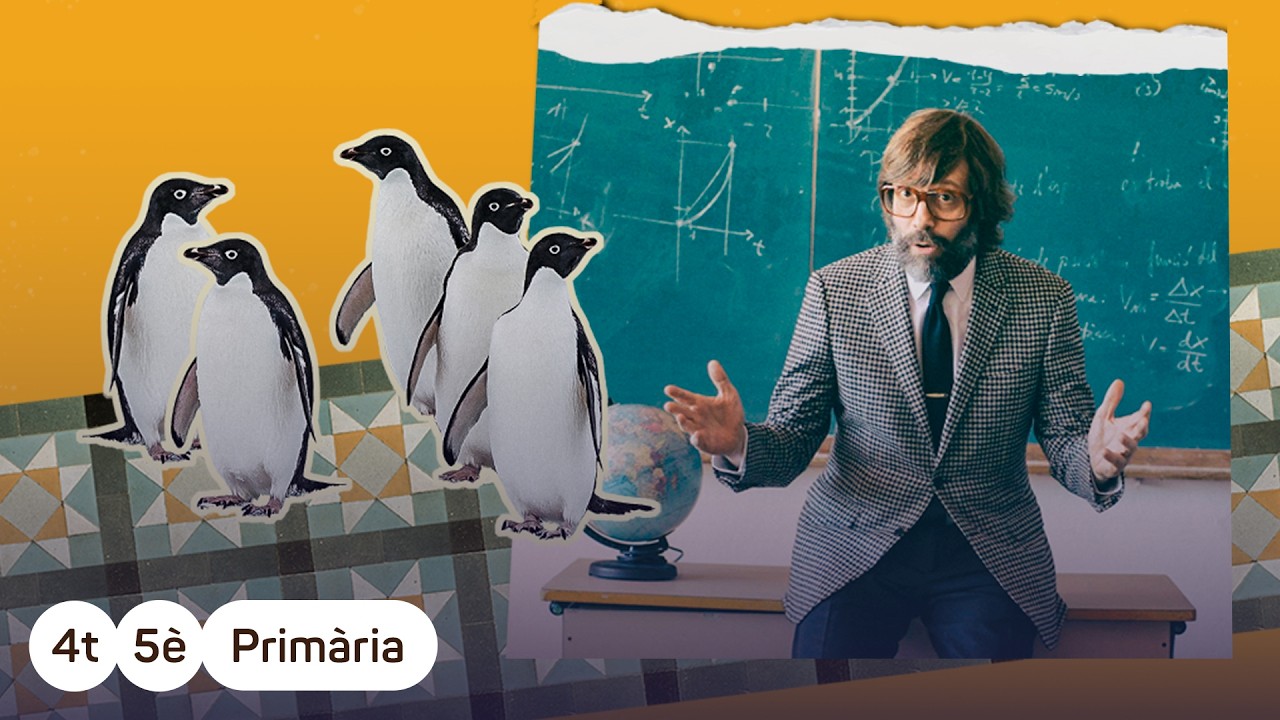 G&Uuml; - SuperCampus: gram&agrave;tica, l&egrave;xic i ortografia