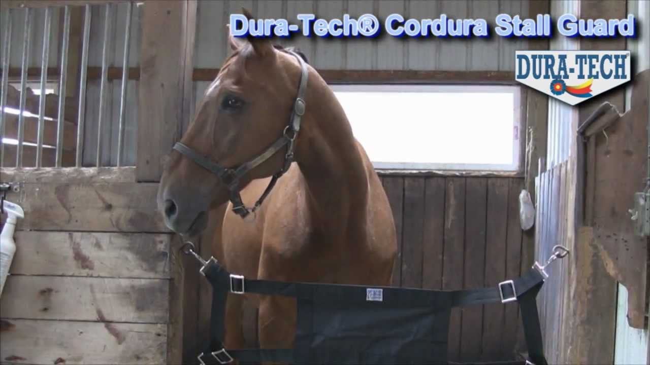 Dura-Tech Stall Guard from Schneiders