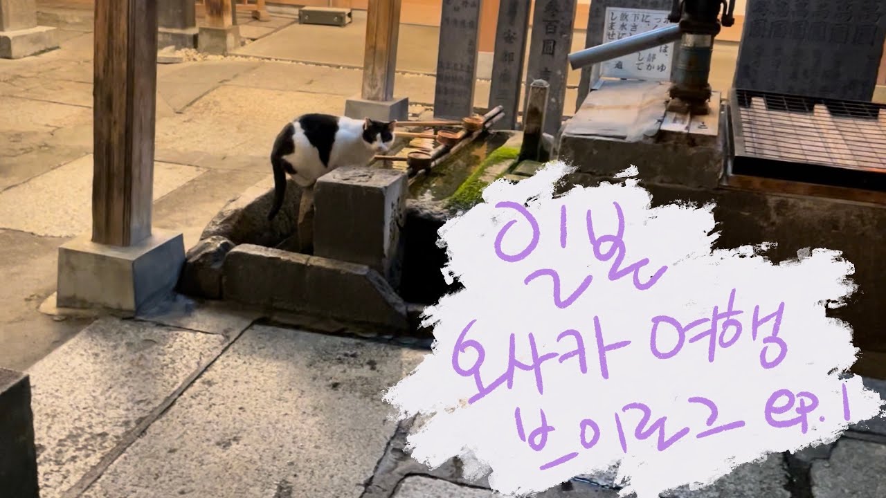 일본 오사카 여행 브이로그 EP.1 /돼지런한 하루.. 규카츠, 타코야끼, 파블로, 편의점 등등