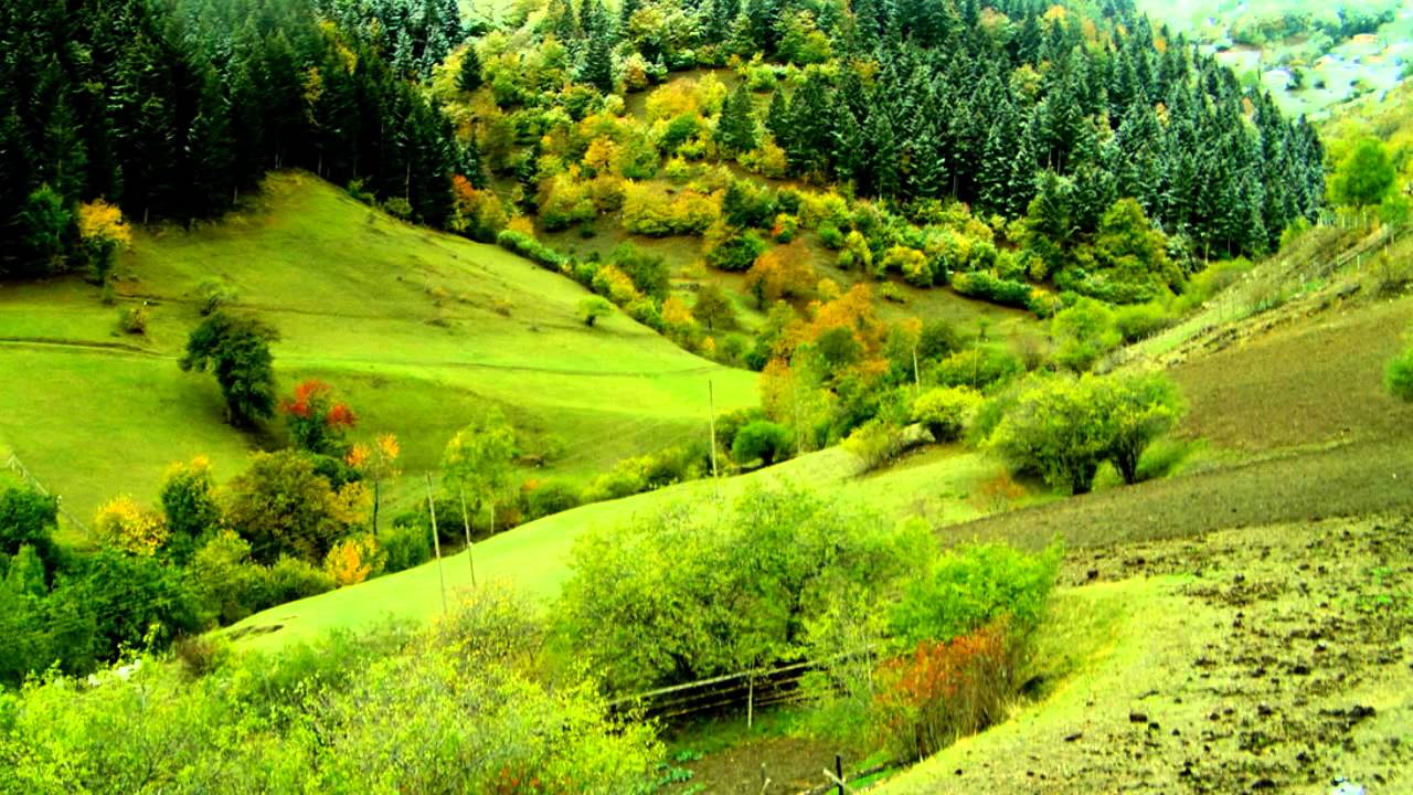 Giresun Güzyurdu Köyü