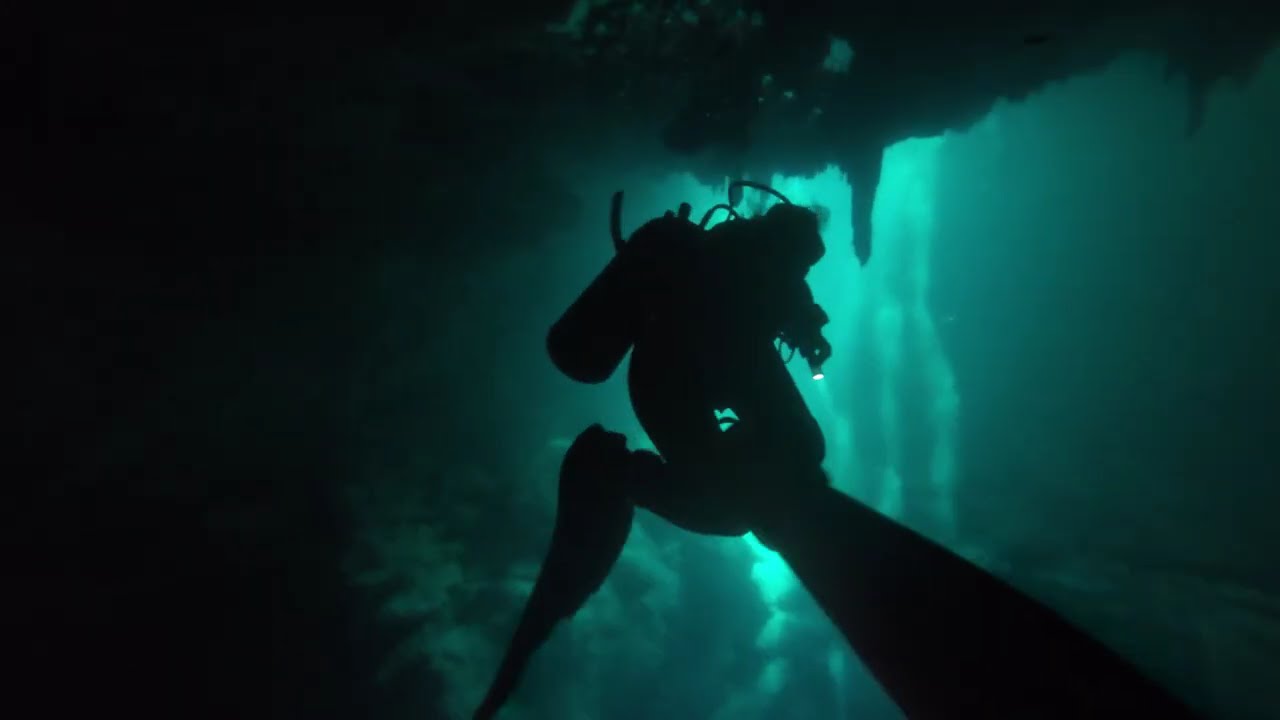 Diving Mexico 2025 | Cenotes & Ocean Dives (El Pit, Dos Ojos, Cozumel)