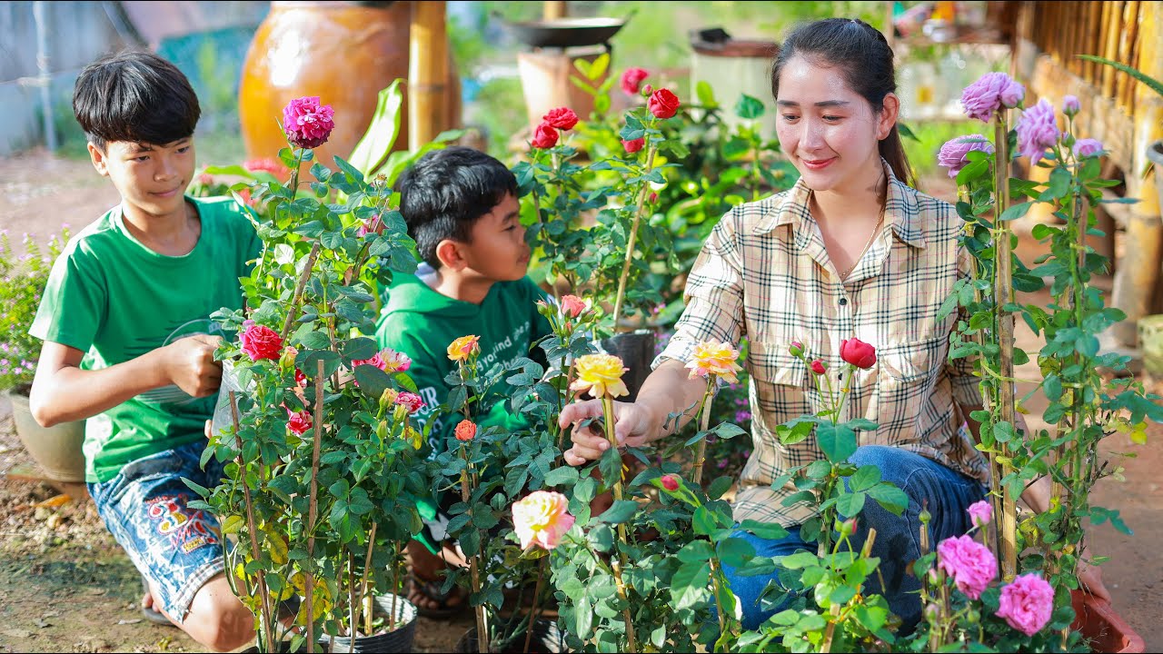 Restore my flower garden at home | Multi rose color plant with my brother | Sros yummy cooking vlogs