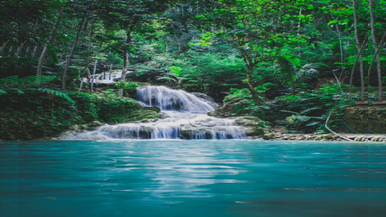 Relaxing Zen Music with Water Sounds • Peaceful Ambience for Spa, Yoga and Relaxation