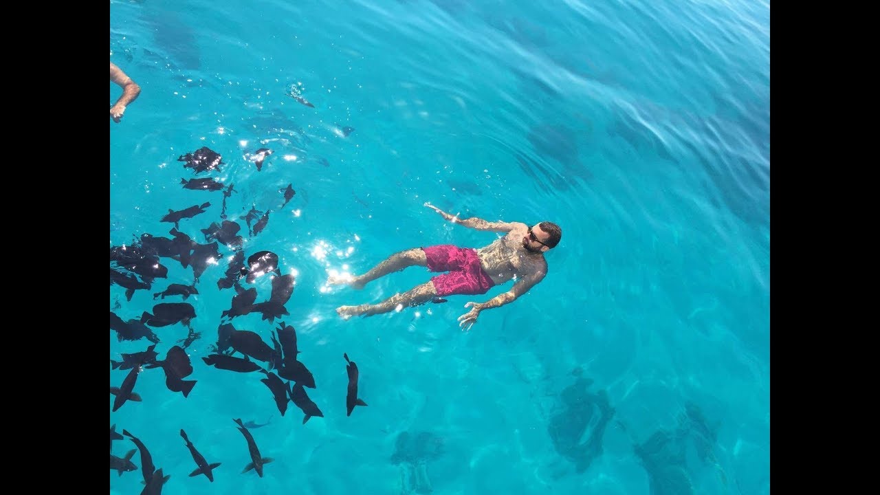 My Trip to Sharm el Sheikh, Tiran Island & Cairo (Egypt) | Red Sea | GoPro Hero