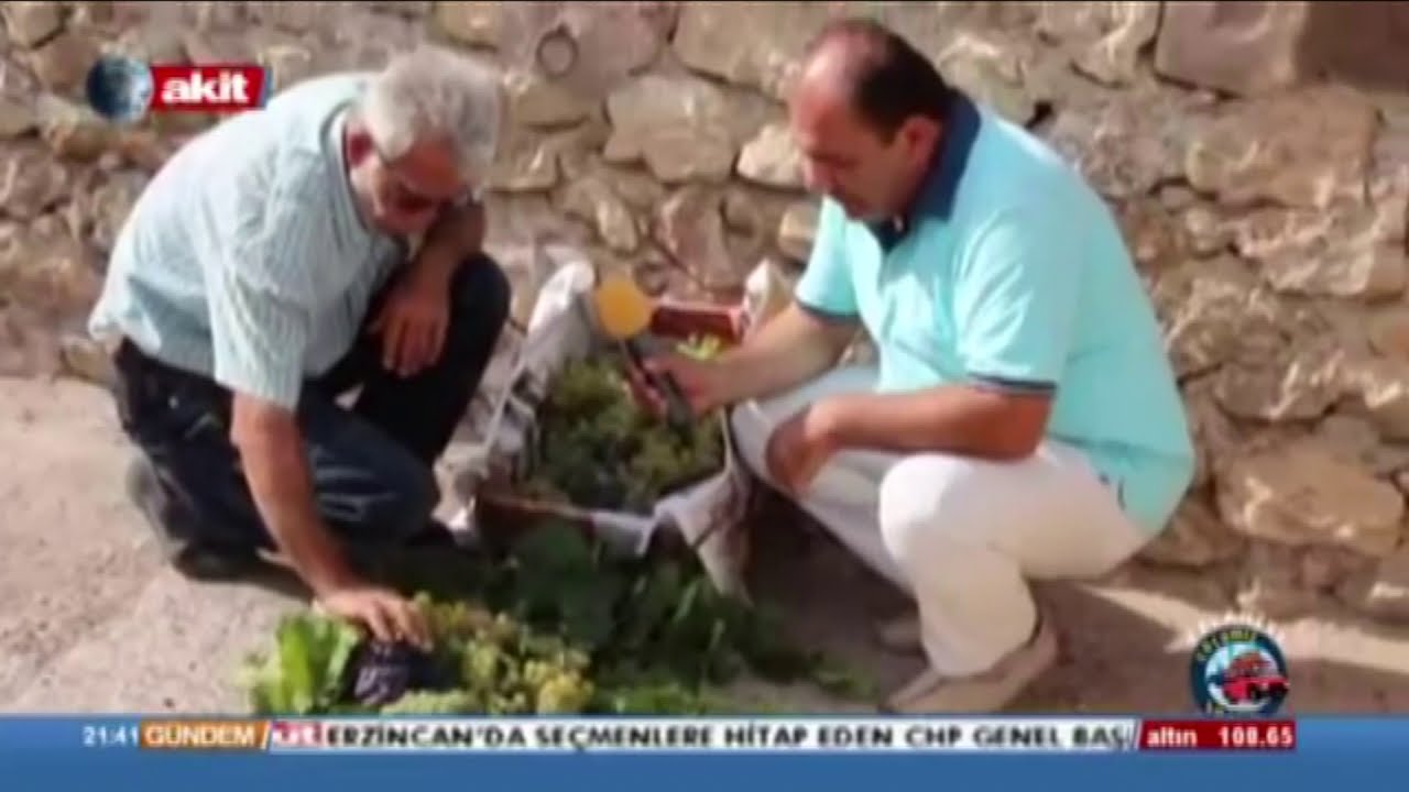 Akit tv'nin Felahiye Silahtar Köyünde cekimi Muhtarimiz Ahmet Ekinci ,Yuksel Yilmaz ,