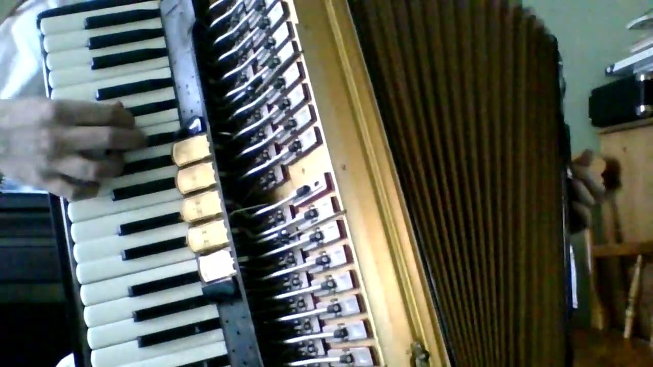 Їхав козак за Дунай (The Cossack Rode Across the Danube) - Accordion