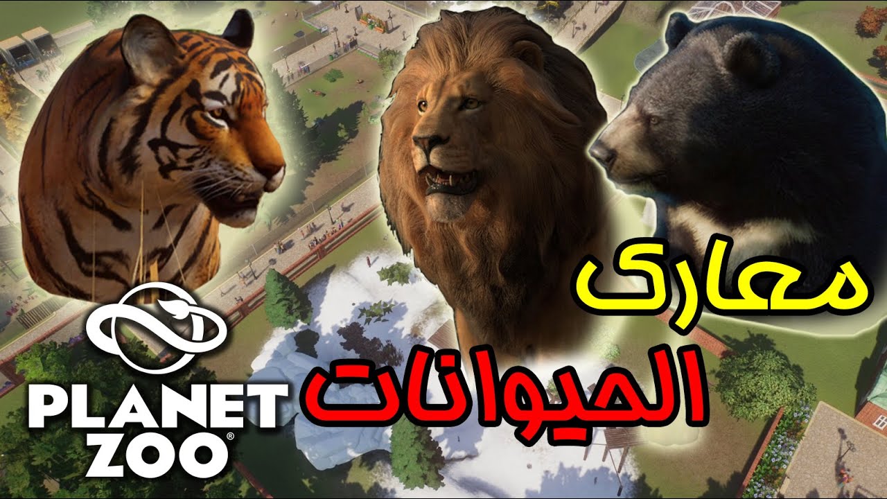 Planet Zoo | 🐻 محاكي حديقة الحيوانات | من الأقوى الأسد 🦁 أم النمر 🐯 أم الدب