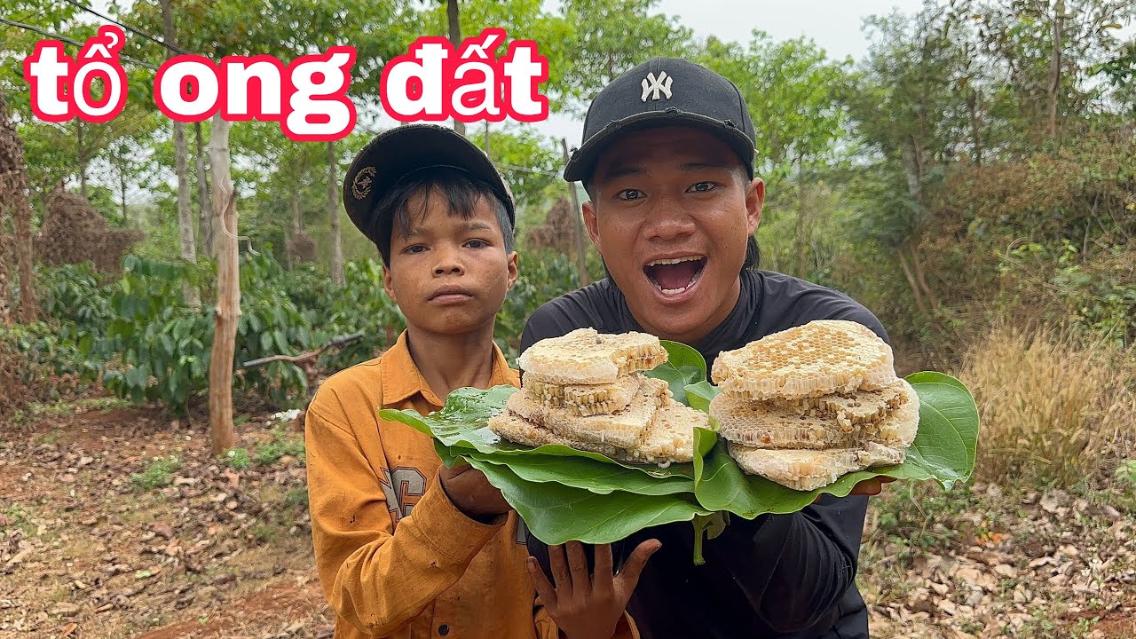 Y ĐIÊU CÙNG TEAM | ĐI TÌM TỔ ONG ĐẤT | 