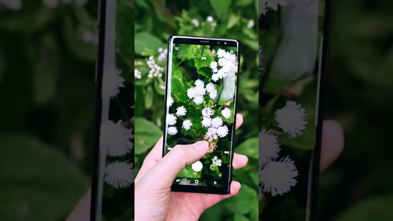 #Samsung galaxy note 8 #camera review #Camera quality test #best camera smartphone #viralshorts2024