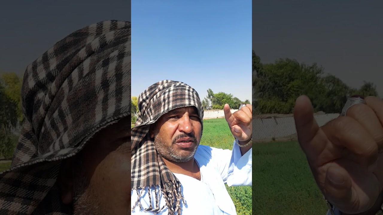 اراضي الوادي الجديد الخارجه قرية ناصر 4فدان للبيع لتواصل واتساب ايمو 01119258231 او 01277909285