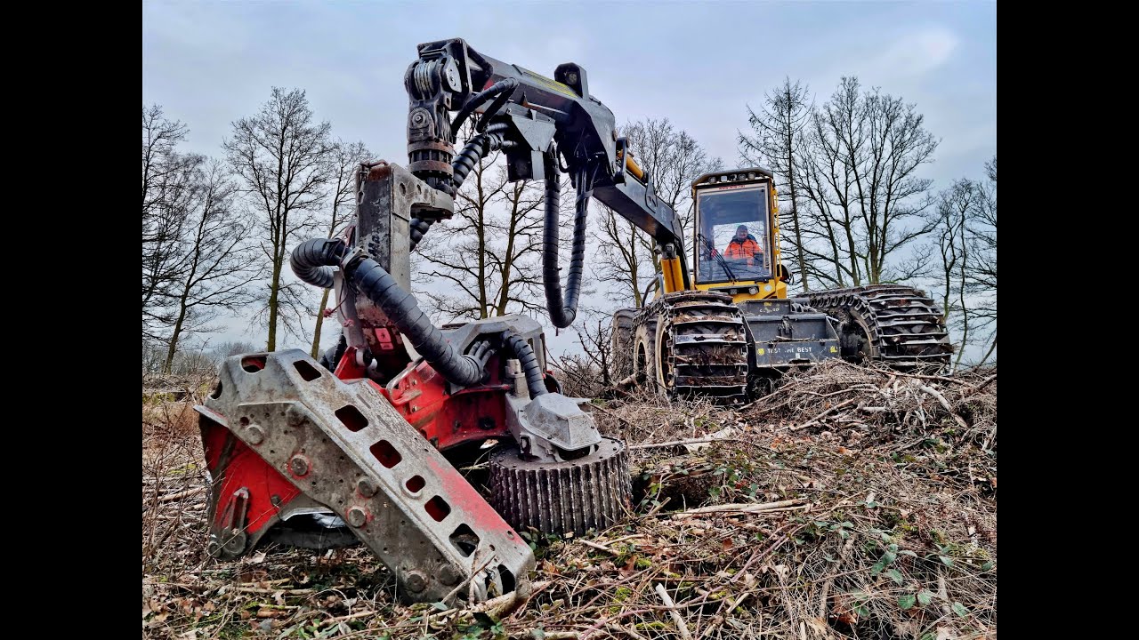 🌲WFW Ecolog 590E *CabView* • Harvester in Action • Loggingvideo • Mitfahrt • Harvesting🌲