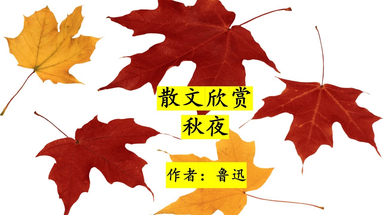 散文 一秋夜 （作者：鲁迅） Chinese Prose - Qiu Ye (by Lu Xun)