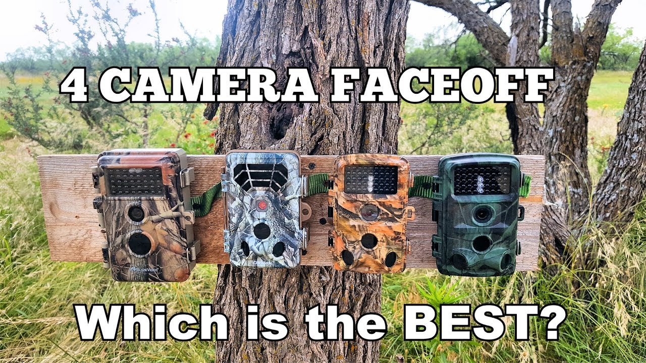 🦌 4 Trail Camera SHOWDOWN! Which is the Best? Campark T45 vs T30 vs Tougard H45 vs BlazeVideo.