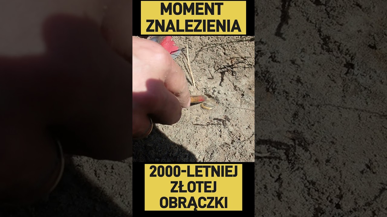 Reakcja na znalezienie złotego 2000-letniego rzymskiego pierścienia.
