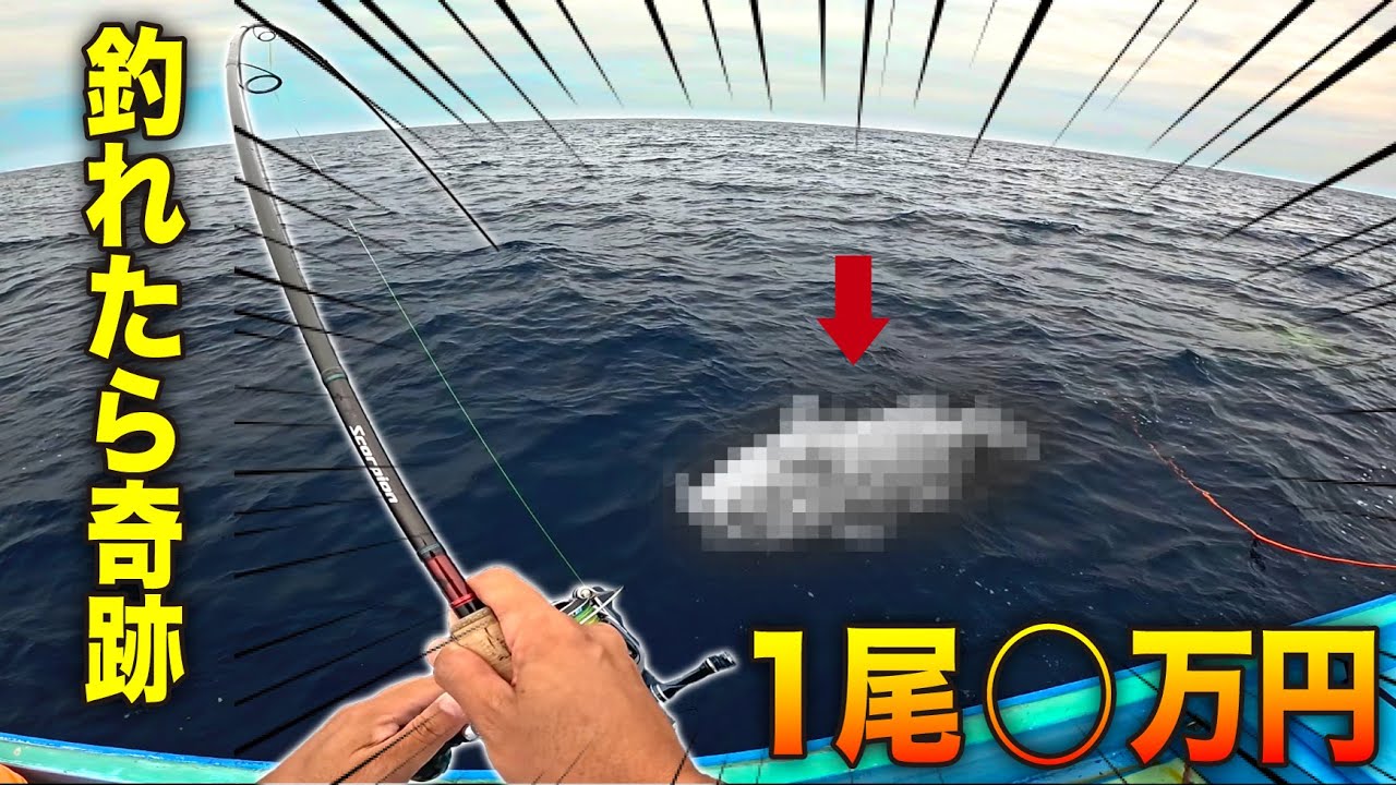 釣り上げた“謎の大物”…正体はまさかの超高級レア魚！さばいて食べてみたら衝撃の味だった【食レポあり】