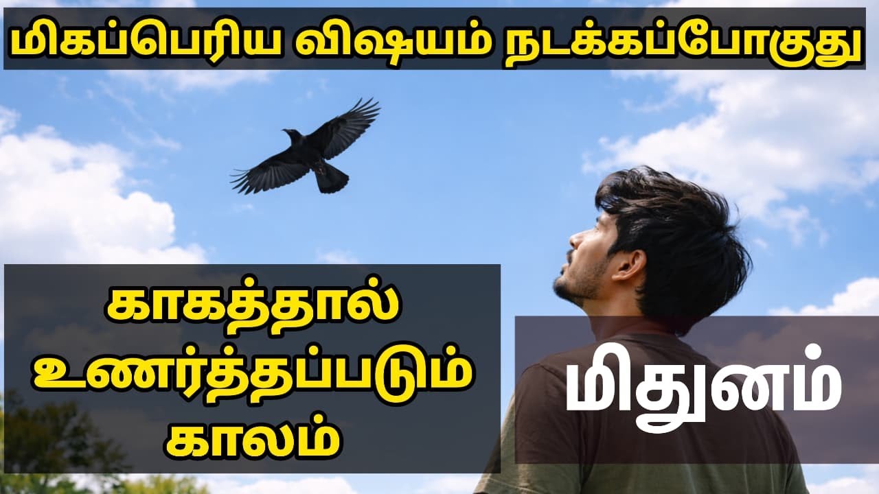 மிதுனம் ! மிகப்பெரிய விஷயம் நடக்கப் போகுது காகத்தால் நடத்தப்படும் காலம் !