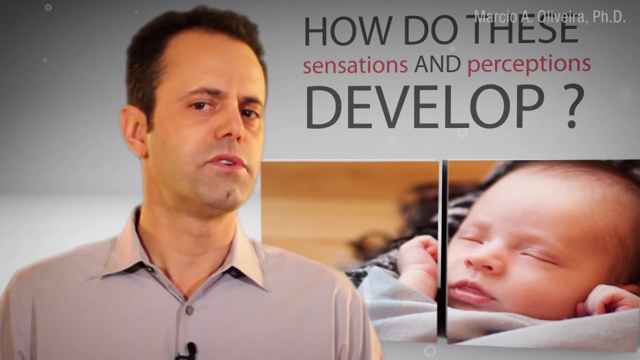 Perceptual Development: Visual and Auditory