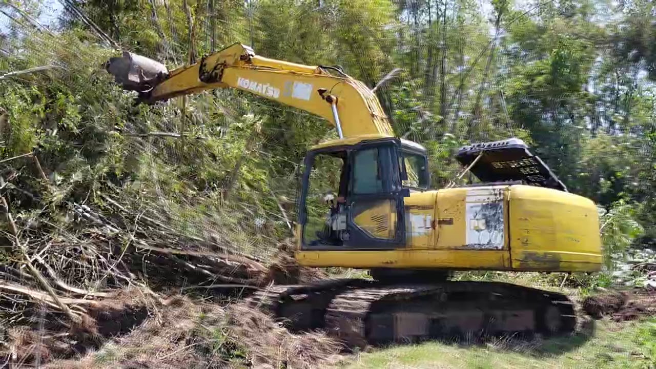 Eskavator Eksekusi Pohon Bambu
