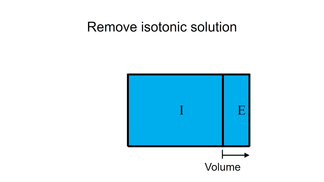 ICF ECF fluid shift
