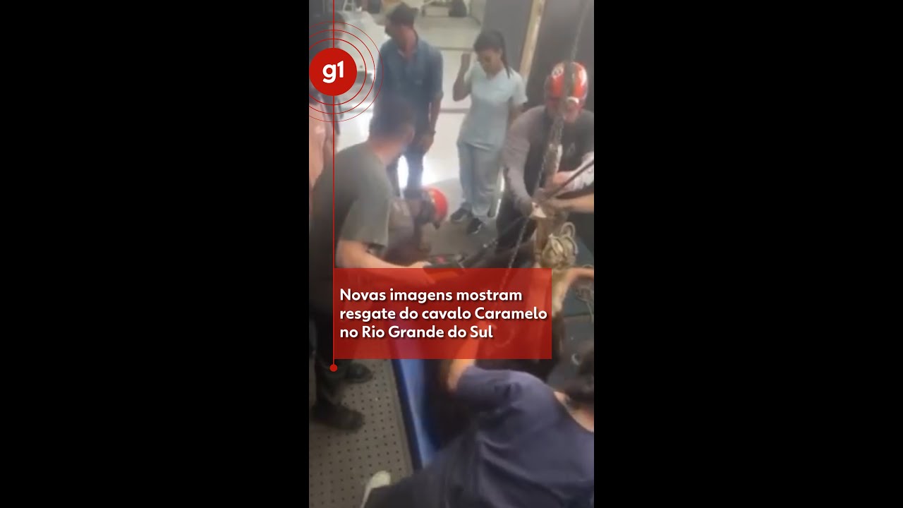 Novas imagens mostram resgate do cavalo Caramelo e o esforço para salvar os animais no RS | g1