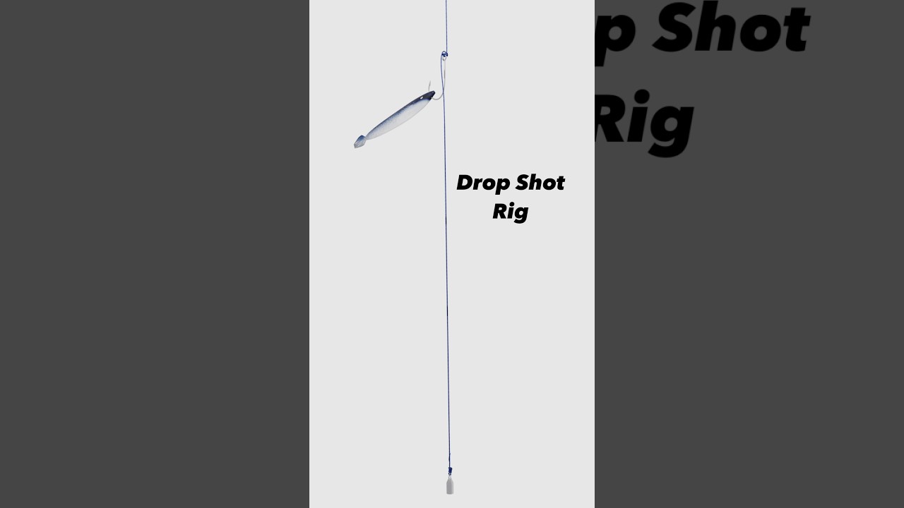 Drop Shot Rig - keeps your bait and lures off the bottom #fishing