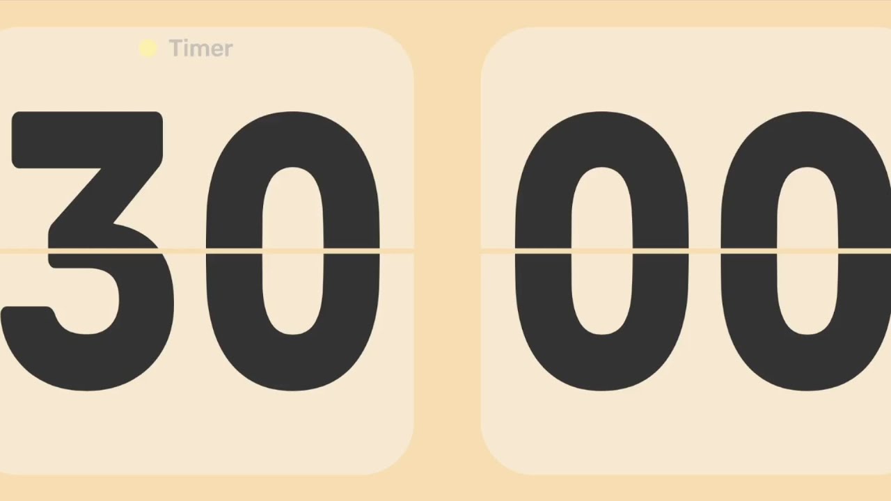 30 Minute Timer | Silent | No Countdown 