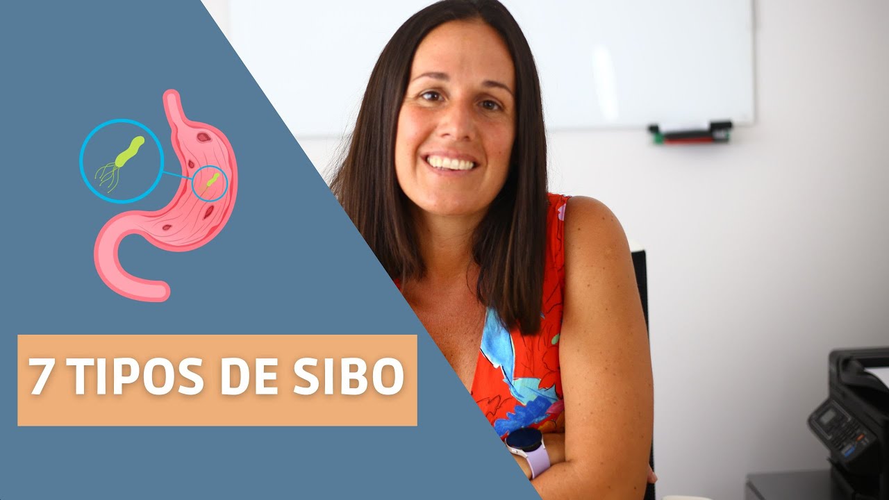¿Conoces los 7 tipos de sibo?
