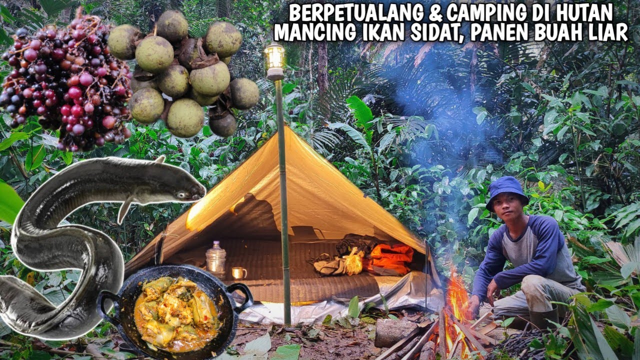 Berpetualang & Camping, Mancing ikan sidat panen buah-buahan liar dan memasak di alam | KANG KUMANG