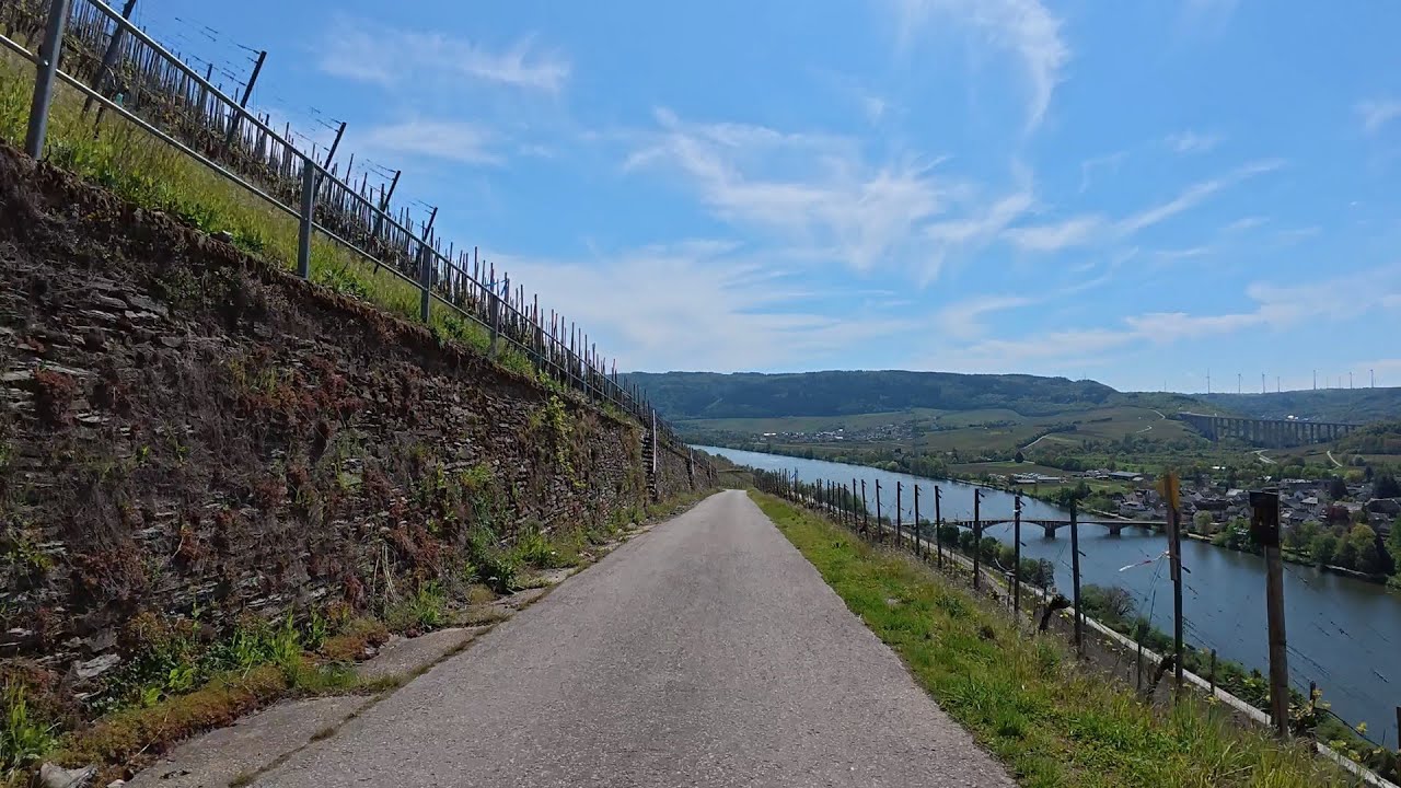 100 minute Indoor Cycling Workout Mosel River and vineyards Germany 4K Video