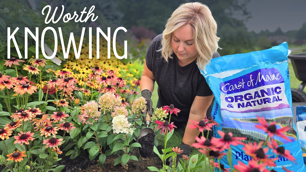 7 Things to Consider Before You Plan Your 2026 Garden