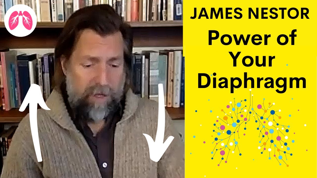 This is what the Diaphragm is for  | James Nestor Breath | TAKE A DEEP BREATH CLIPS