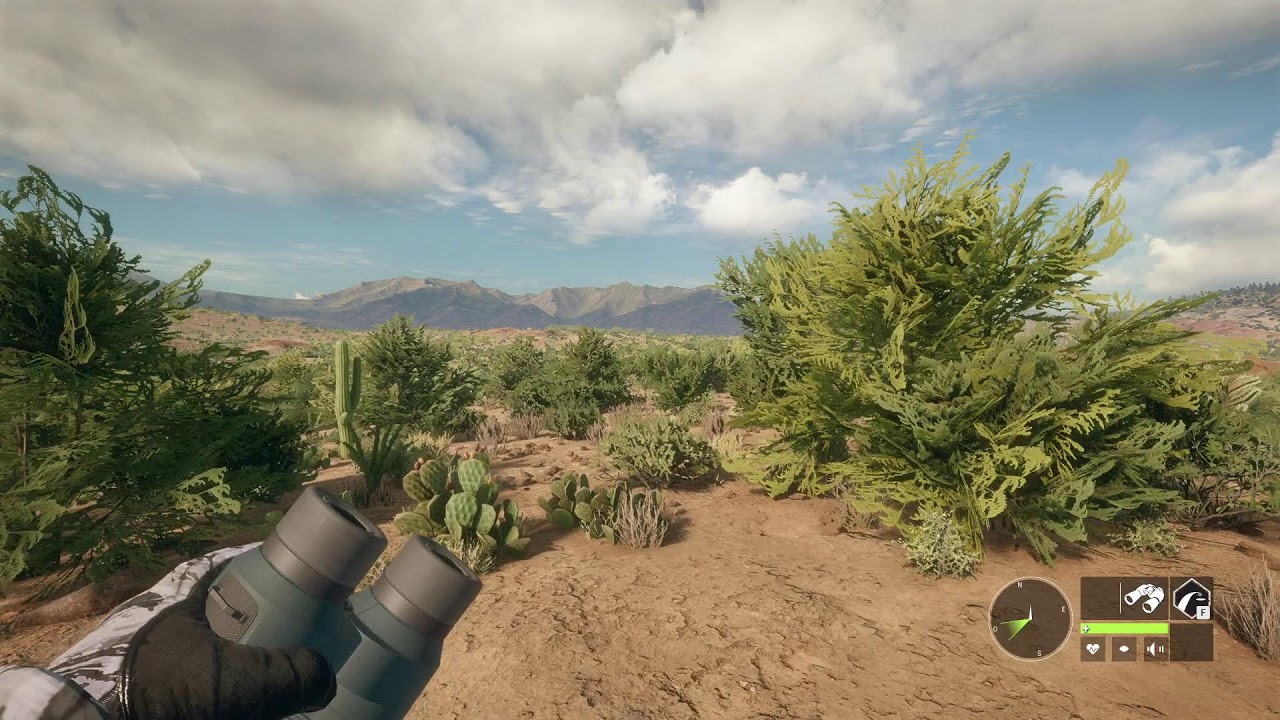 thehunter Call of the Wild — em Busca do Diamante.