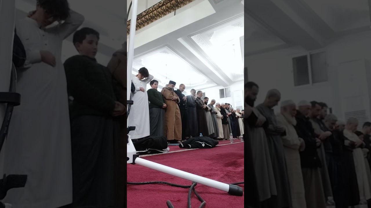 الليلة الثانية من صلاة التراويح التسليمة الثانية مسجد الرحمة بلدية دالي ابراهيم بصوت فارس كربوب 