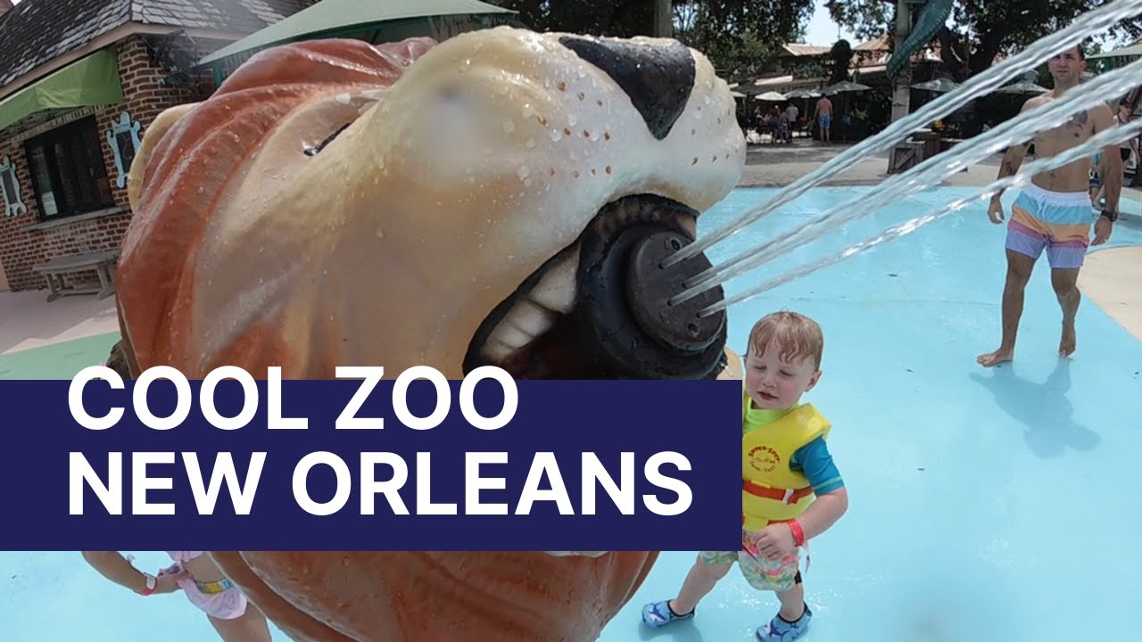 Get Wild at Cool Zoo New Orleans!