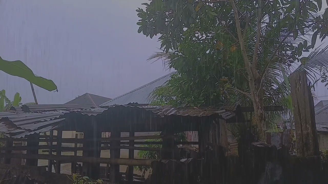 Beat Insomnia In Less Than 5 Minutes With Heavy Rain And Thunder On The Tin Roof Of A Simple Home