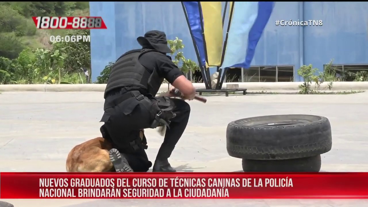 Culmina exitoso curso de técnicas caninas de la Policía Nacional