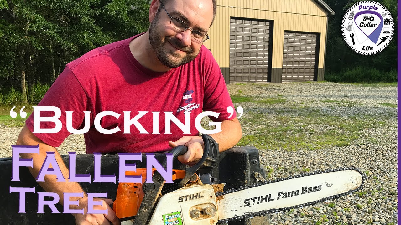 #50: &ldquo;Bucking&rdquo; a Tree in the woods with Stihl Chainsaw #purplecollarlife #outdoorgans