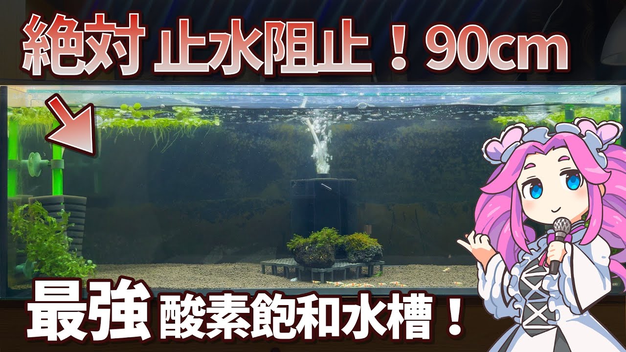 最強酸素飽和＆絶対止水阻止！90センチレッドビーシュリンプ水槽立ち上げを紹介します